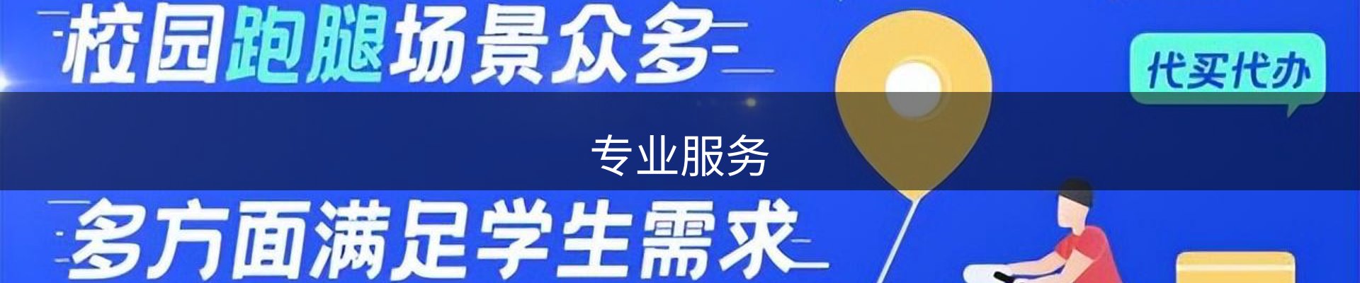 专业服务