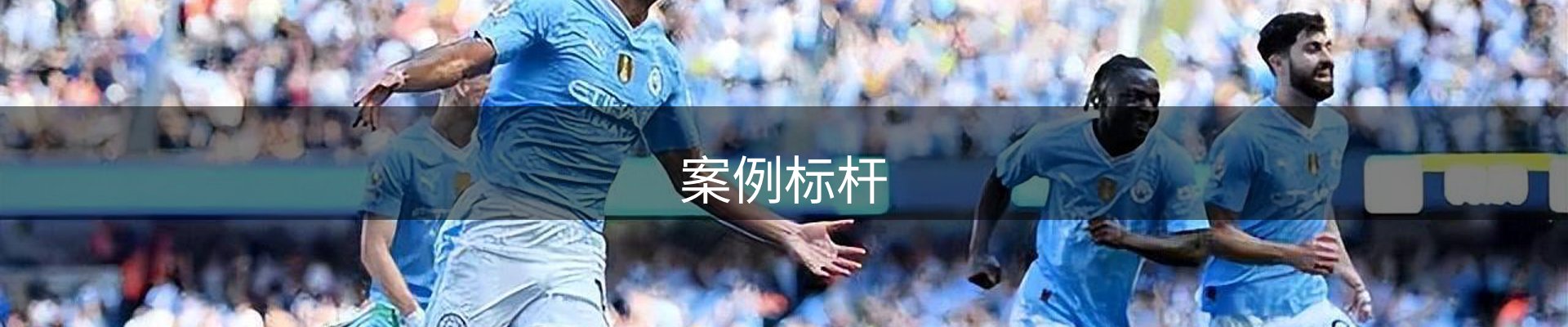 案例标杆
